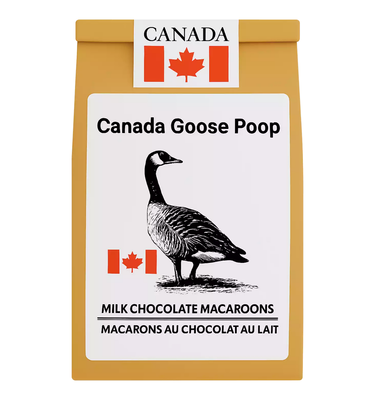 Canada Goose Poop image 0
