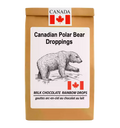 Canadian Polar Bear- Rainbow Drops image 0
