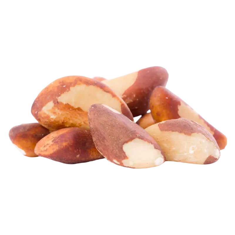 Raw Brazil Nuts