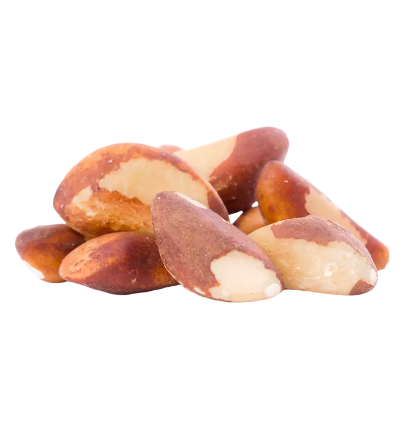 Raw Brazil Nuts