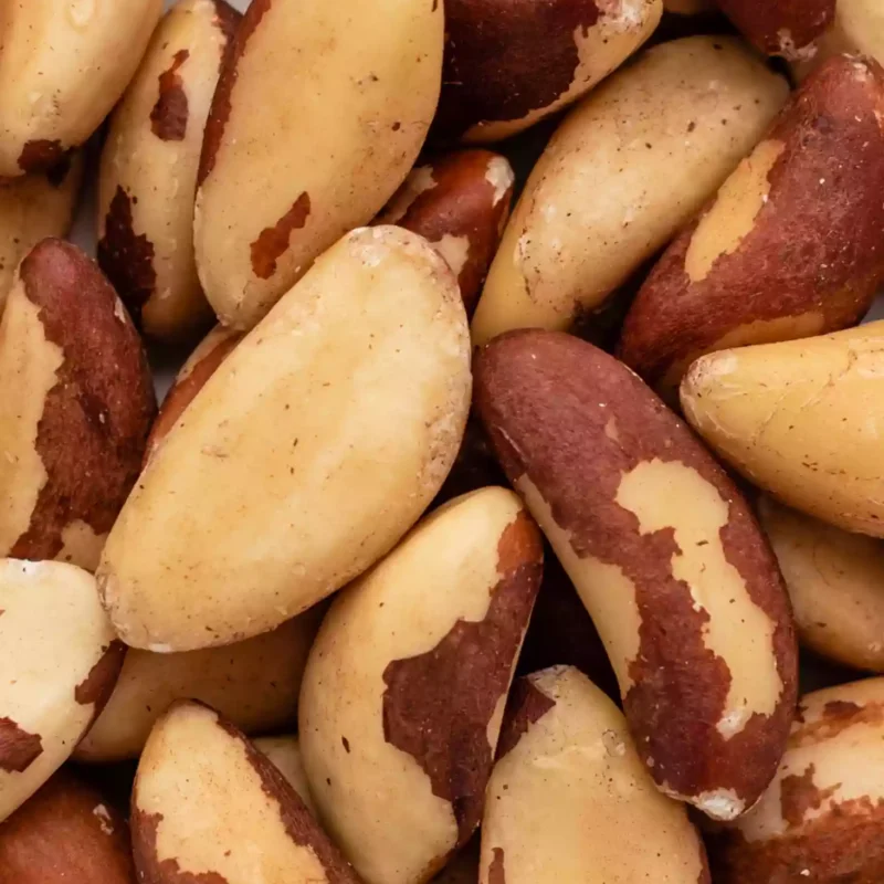 Raw Brazil Nuts