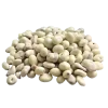 Yogurt Covered Cranberries - Image 3