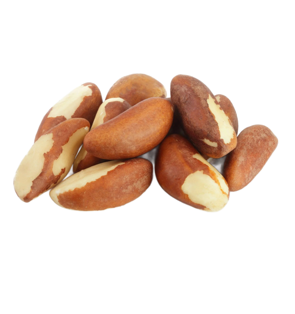 Raw Brazil Nuts