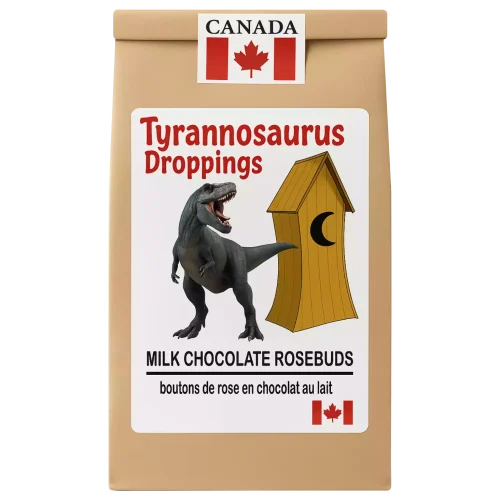 Bag of T-Rex Droppings – Canadian-made chocolate macaroons in a kraft pouch with illustrated dinosaur waiting outside an outhouse.